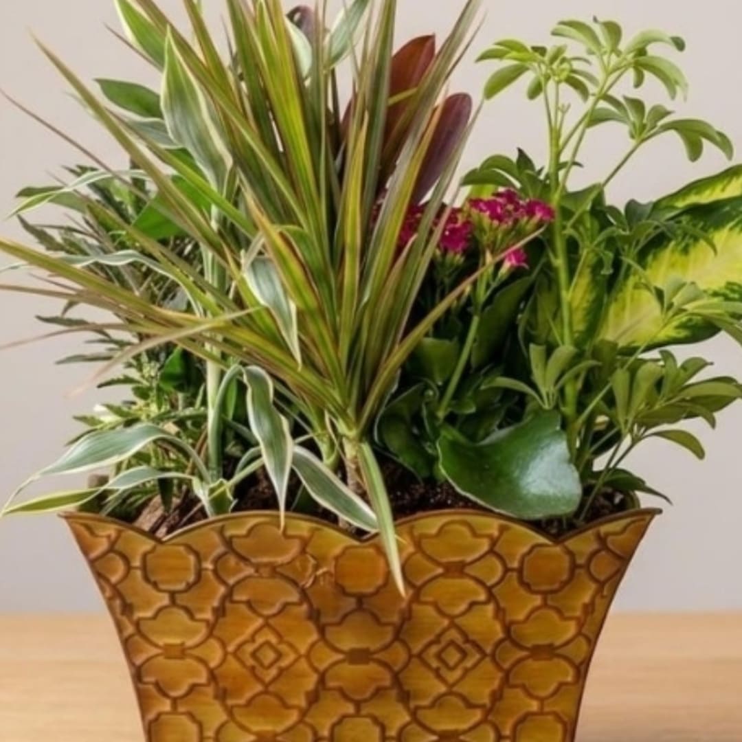 Mixed potted plant arrangement in a patterned gold container