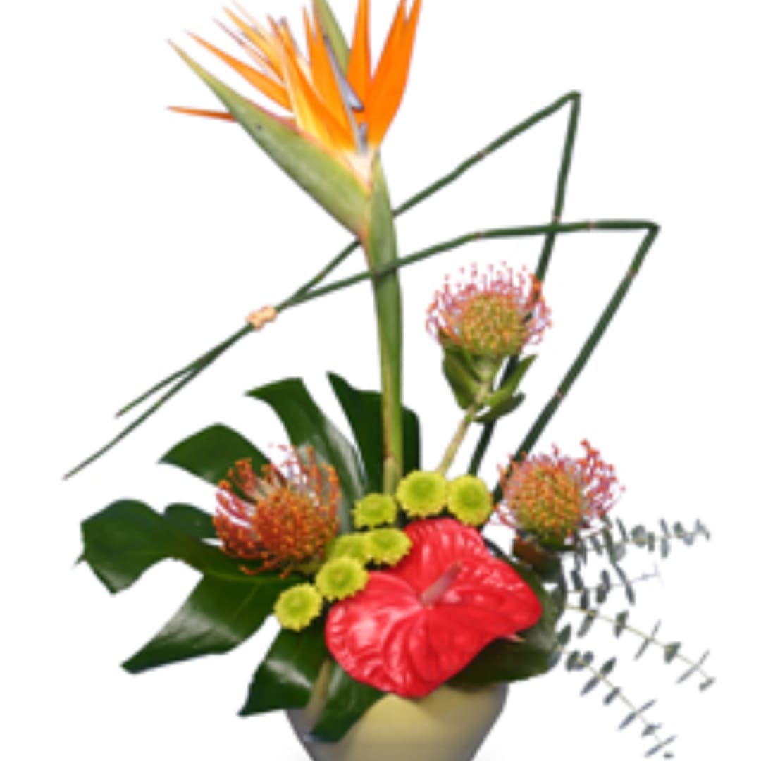Tropical flower arrangement with orange bird-of-paradise and red anthurium in a vase