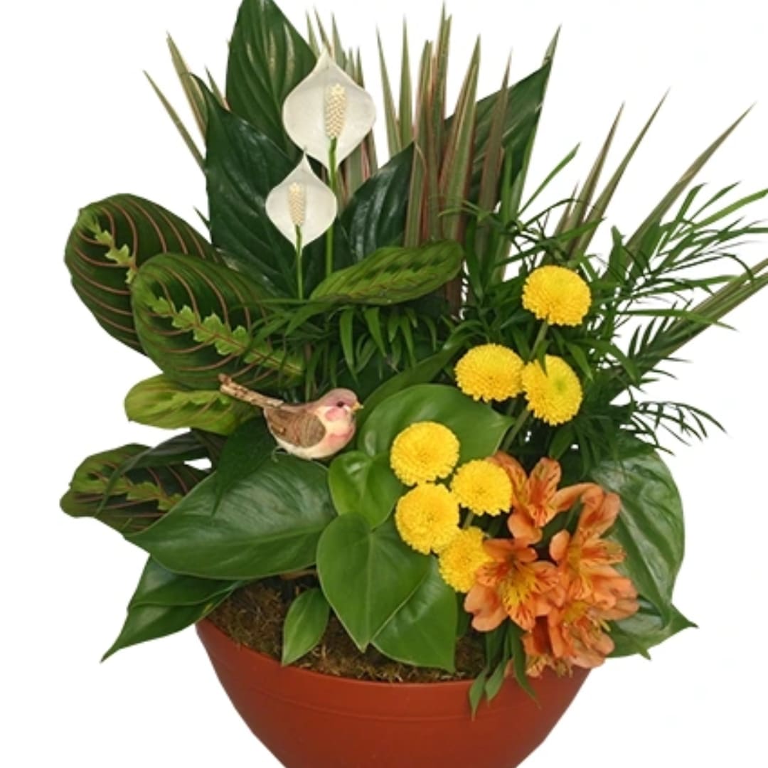 Tropical plant arrangement with white anthuriums and yellow blooms in a terracotta pot
