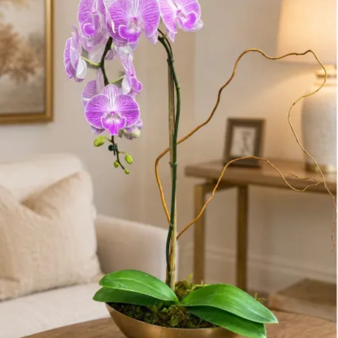 Purple orchid in a gold pot on a table