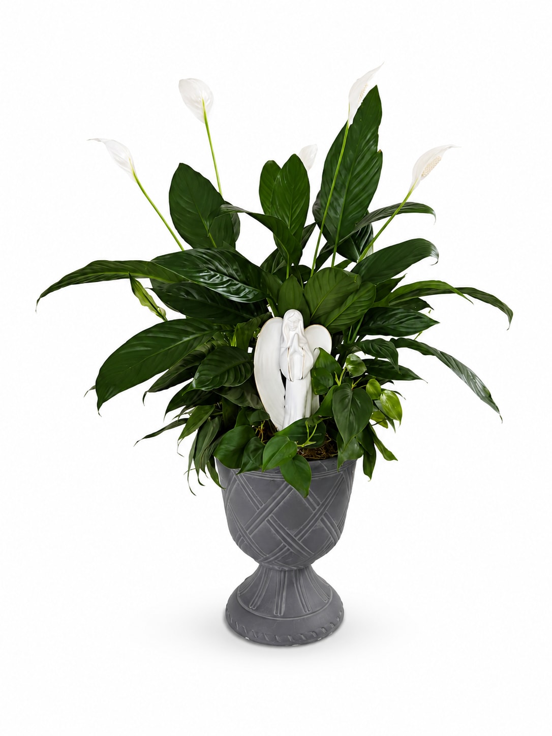 White peace lilies in a gray urn planter with a white angel figurine