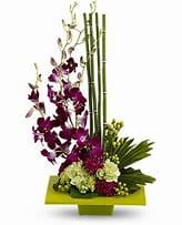 Modern arrangement with purple orchids, green blooms, and bamboo in a square lime-green dish
