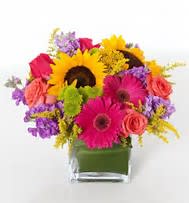 Bright mixed bouquet with sunflowers, pink gerbera daisies, and roses in a square glass vase