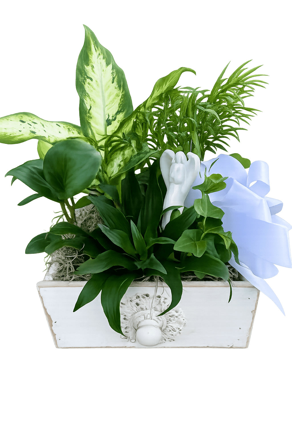  Angel in Heaven Dish garden - Angel in heaven garden assorted green plants with a ceramic angel pic arranges in a white wooden box