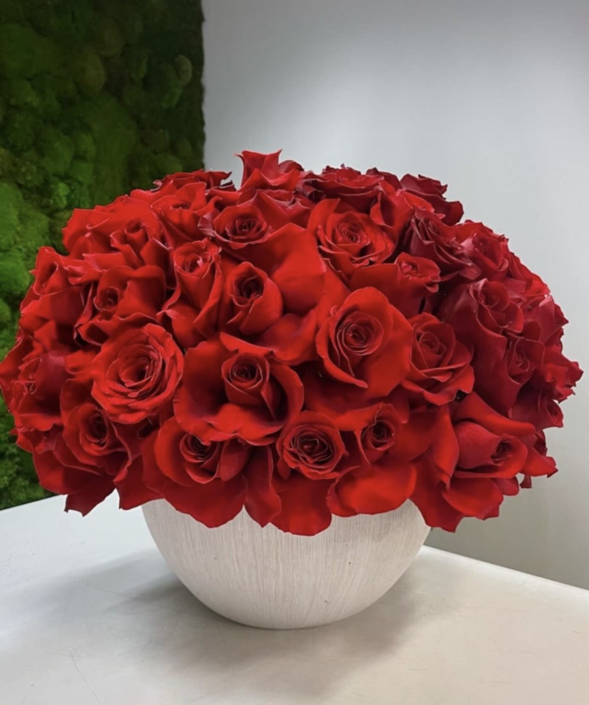 Red Velvet - Vivid red roses arranged in a full dome with white accents in a sleek white ceramic vase-classic, romantic, and striking for love-filled celebrations.