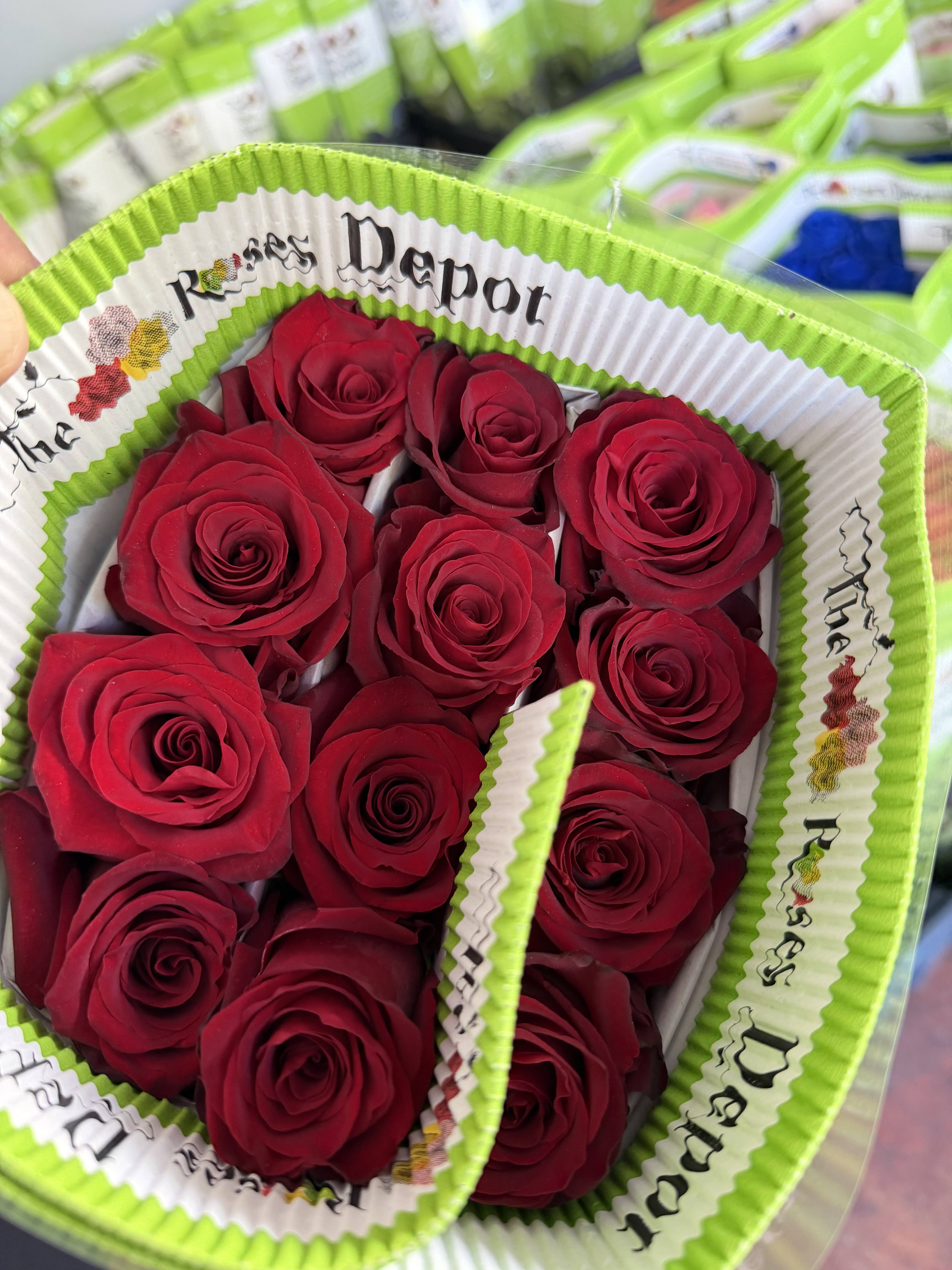 20 RED ROSES PACK - 20 Premium Roses, Handpicked and Imported Directly from Ecuador