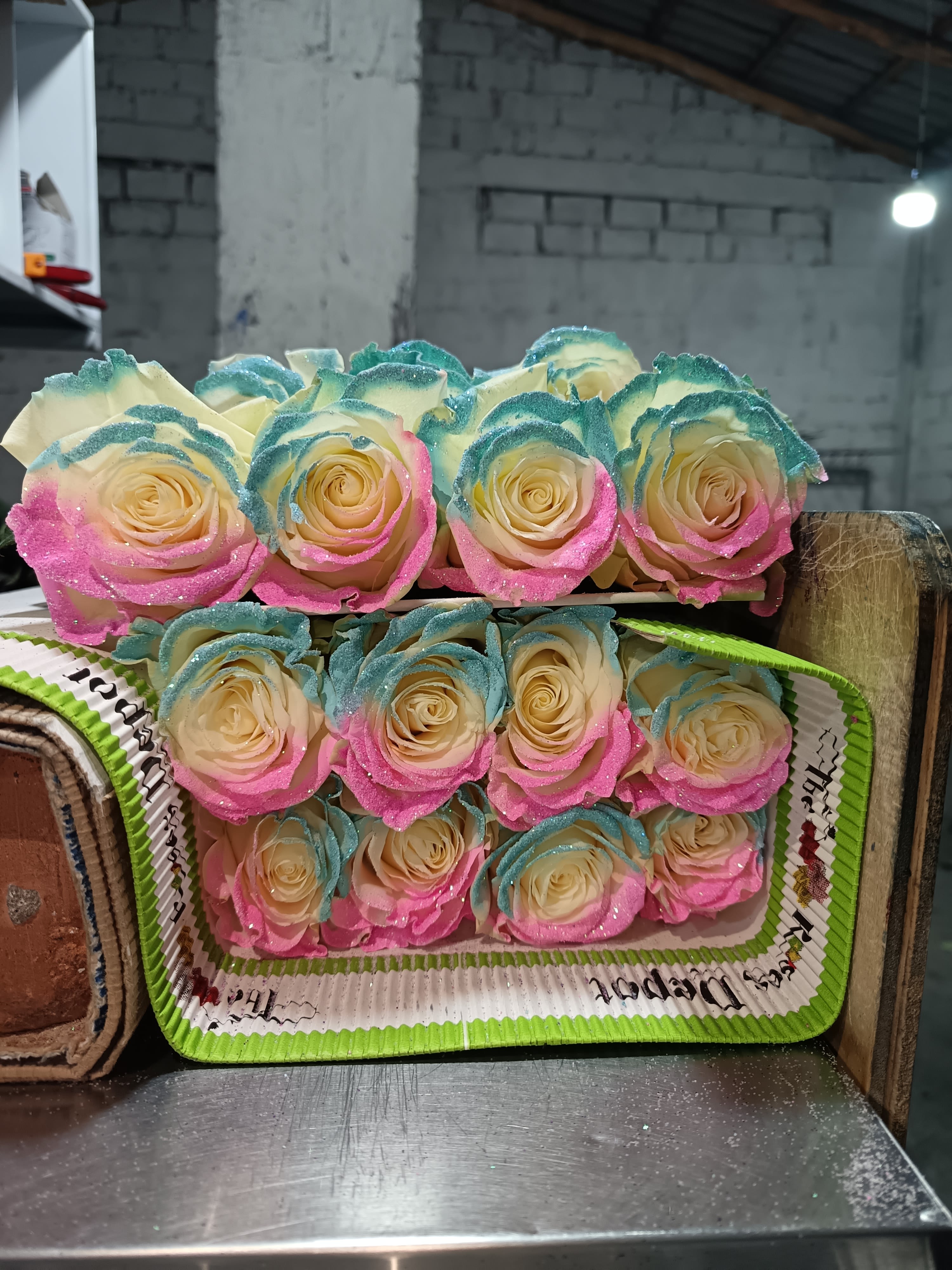 20 MARSHMALLOW ROSES PACK - 20 Premium Roses, Handpicked and Imported Directly from Ecuador