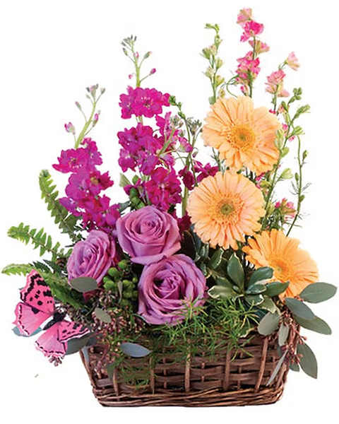 Basket arrangement with purple roses, orange daisies, and pink flowers