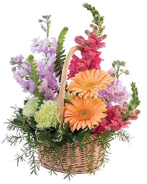 Basket arrangement with orange gerbera daisies and pink and lavender flowers