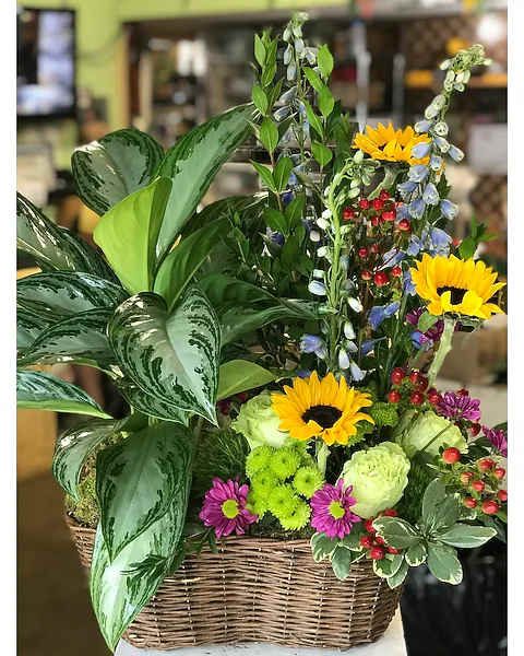 Mixed flower basket with sunflowers, mums, and leafy plants in a wicker basket