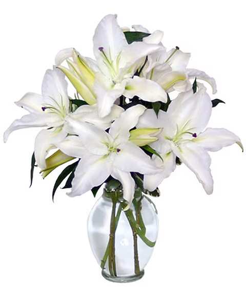 White lilies arranged in a clear glass vase