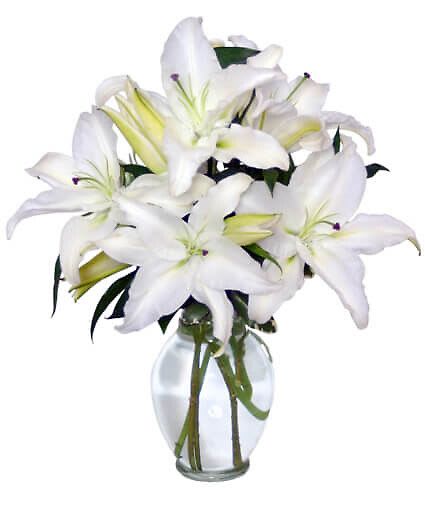 Casa Blanca Lilies - This pure white bouquet of Casa Blanca lilies makes an elegant statement as a perfect floral tribute, centerpiece or decorative arrangement. These lovely lilies also leave a soft fragrance in the air. Show loved ones that you care with fresh flowers.  Includes Classic Urn Vase, Foliage: Pittosporum, White Casa Blanca Lilies.