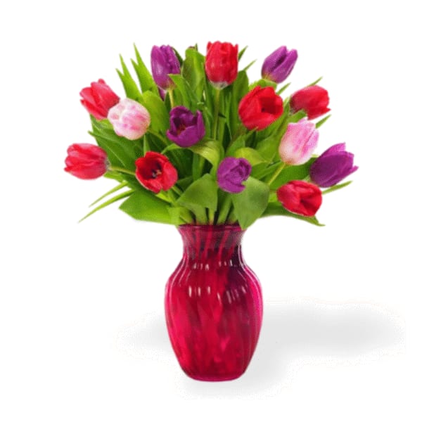 Bouquet of multicolored tulips in a red glass vase