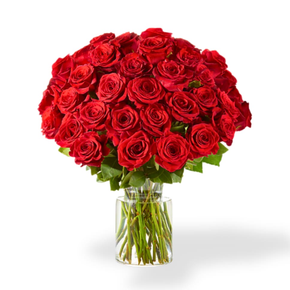 Bouquet of red roses in a clear glass vase