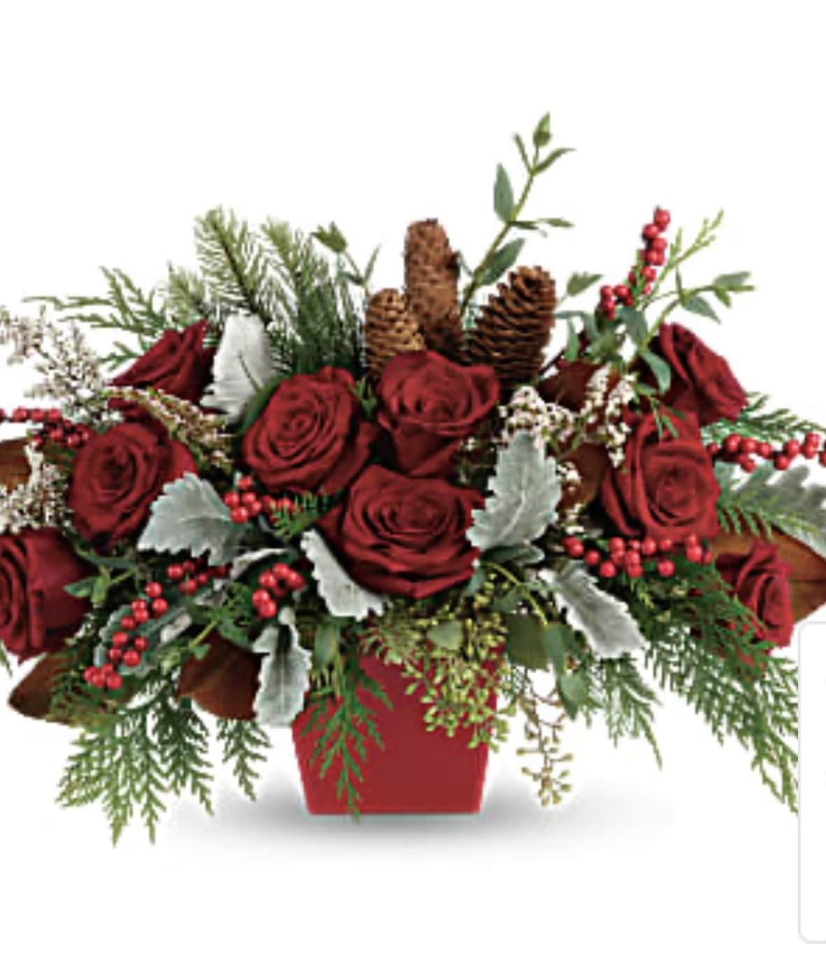 Red roses arranged in a red container with pinecones and berries