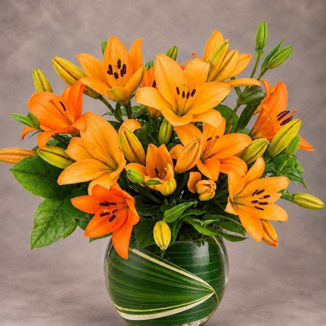 Orange lilies arranged in a round glass vase with broad green leaves