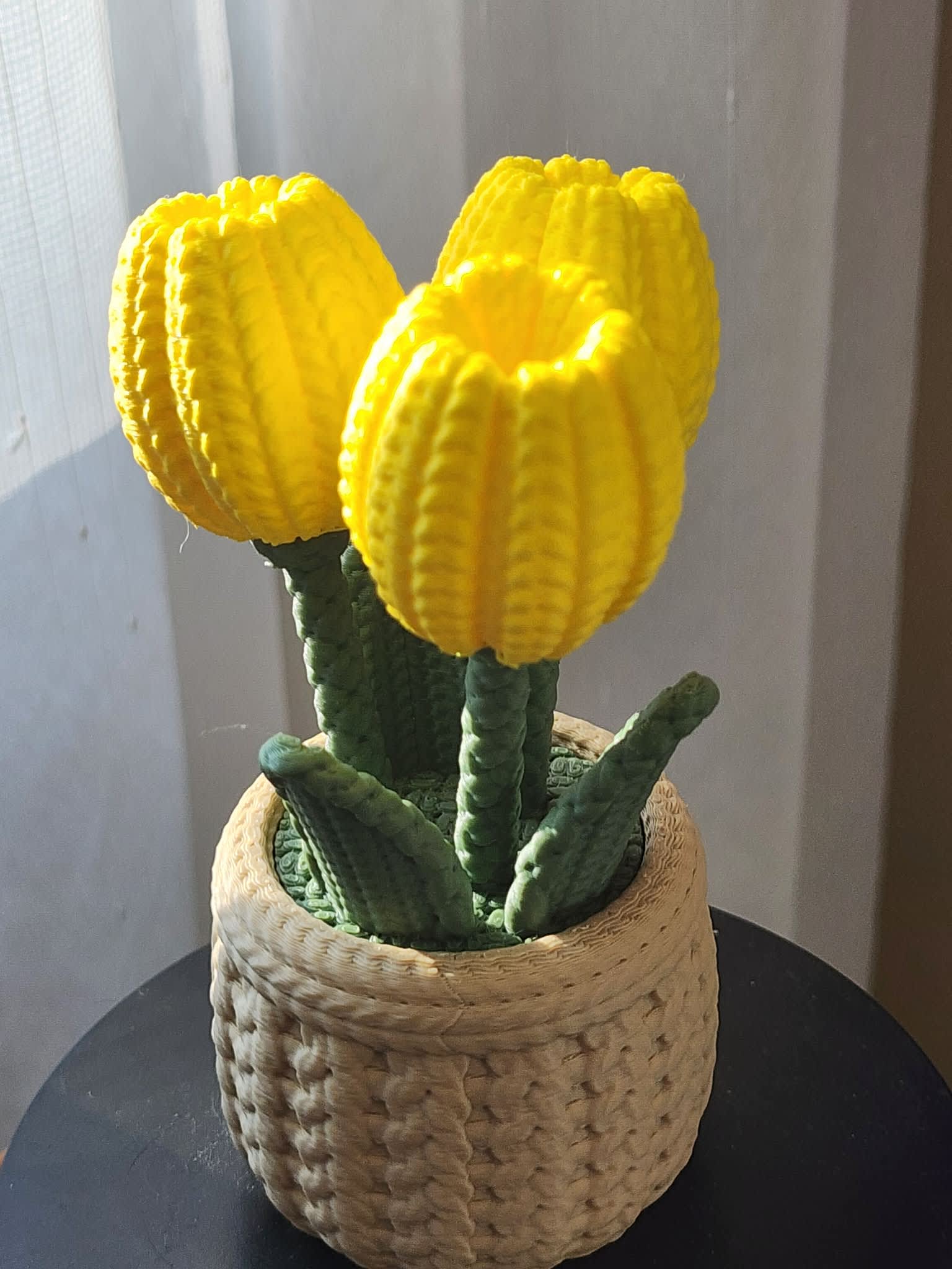 Three yellow tulip-like blooms in a woven basket pot