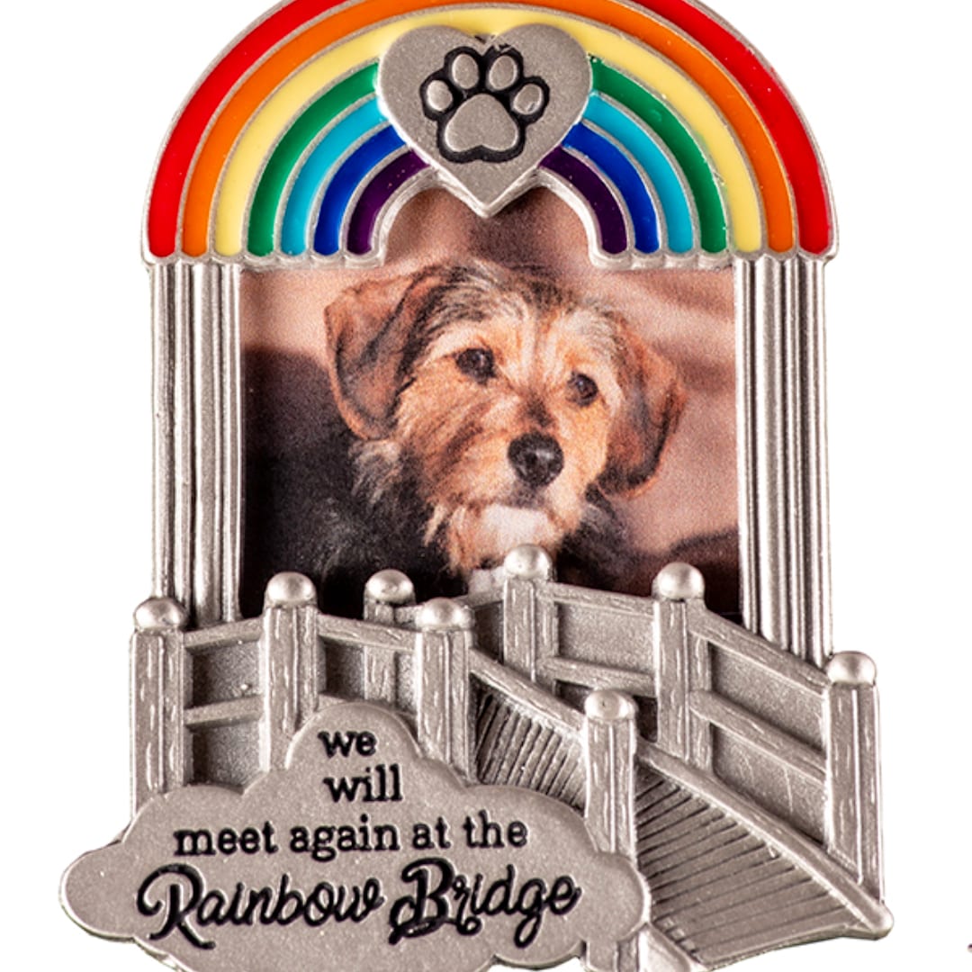 Pet memorial pin with a dog photo, rainbow bridge, and paw print