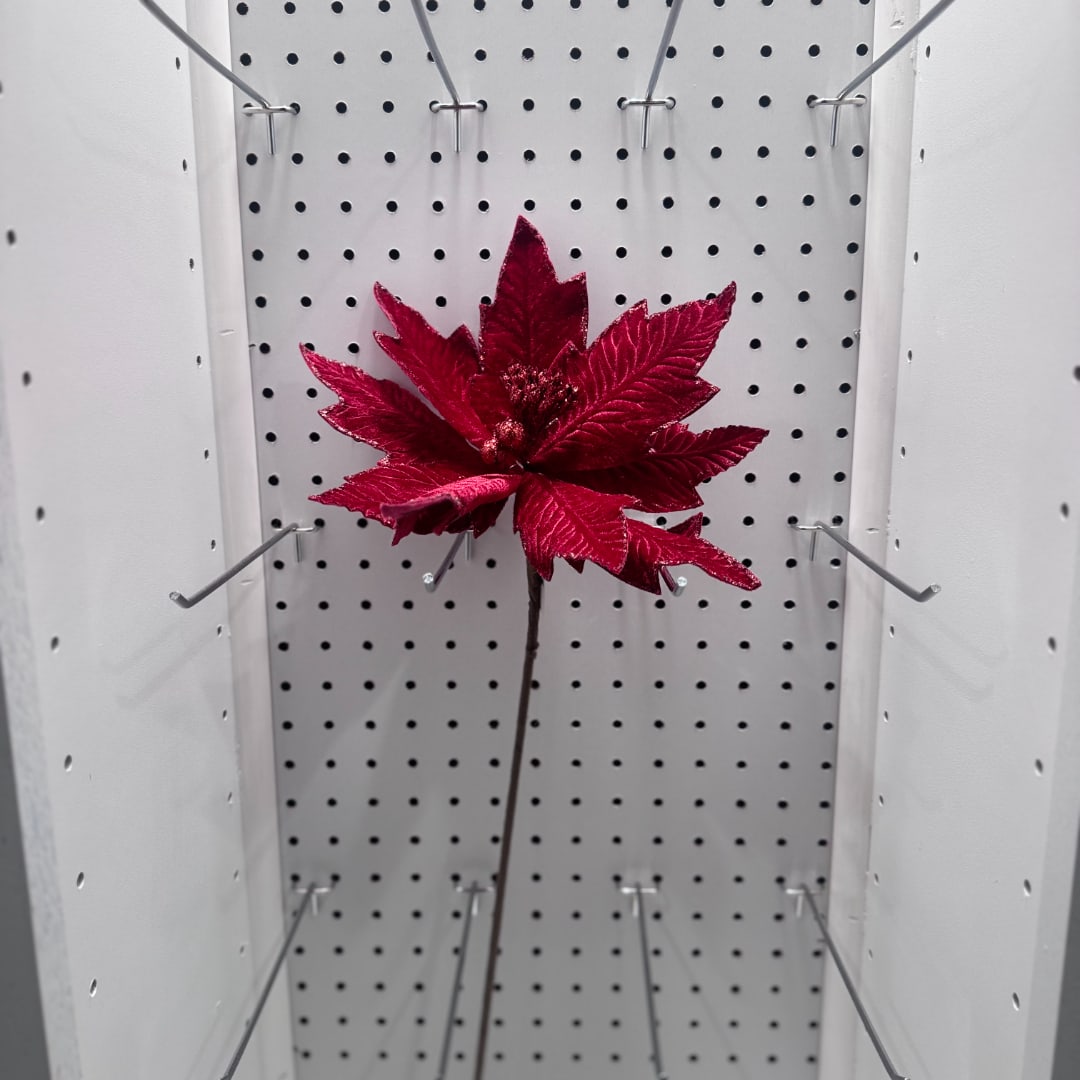 Single red poinsettia stem on a display pegboard