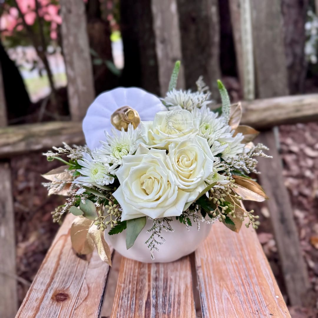 White roses and small white daisies in a low white vase with gold accents