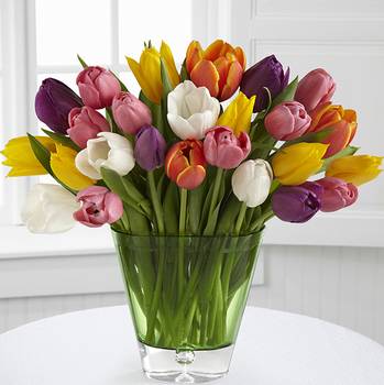 The Spring Tulip Bouquet - Best - Impress and delight your special recipient with a bouquet bursting in a rainbow of Spring's exuberant radiance. Assorted tulips in an array of brilliant bright hues offer color and cheerful beauty arranged in a bright green designer glass vase with a handblown teardrop to create a charming way of spreading warm wishes for the coming season.