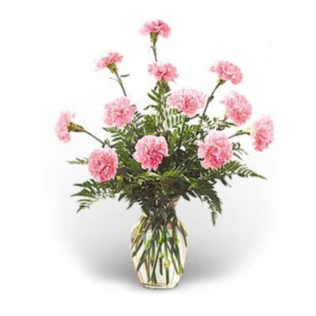 Pink carnations in a clear glass vase