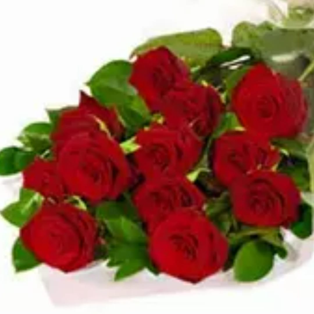 Bouquet of red roses with green foliage