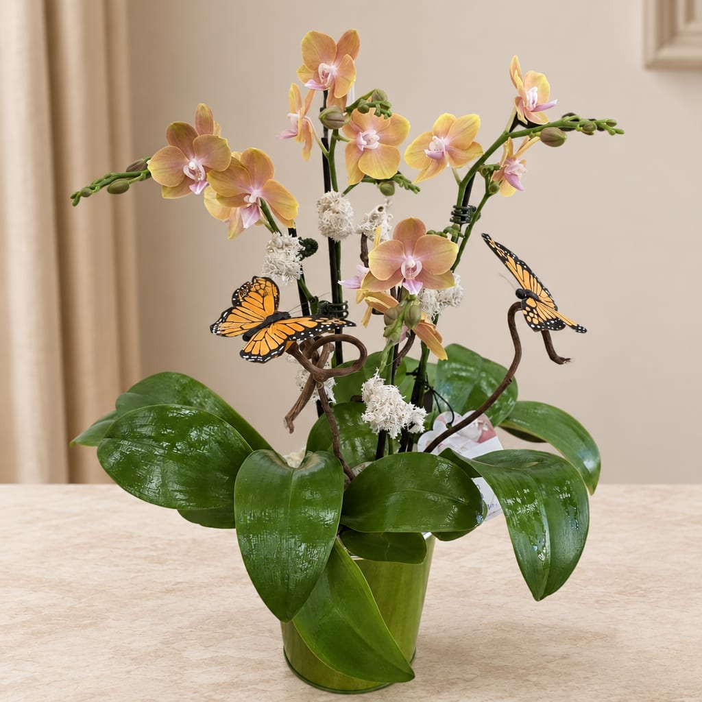Potted orchid arrangement with orange blooms and butterfly accents