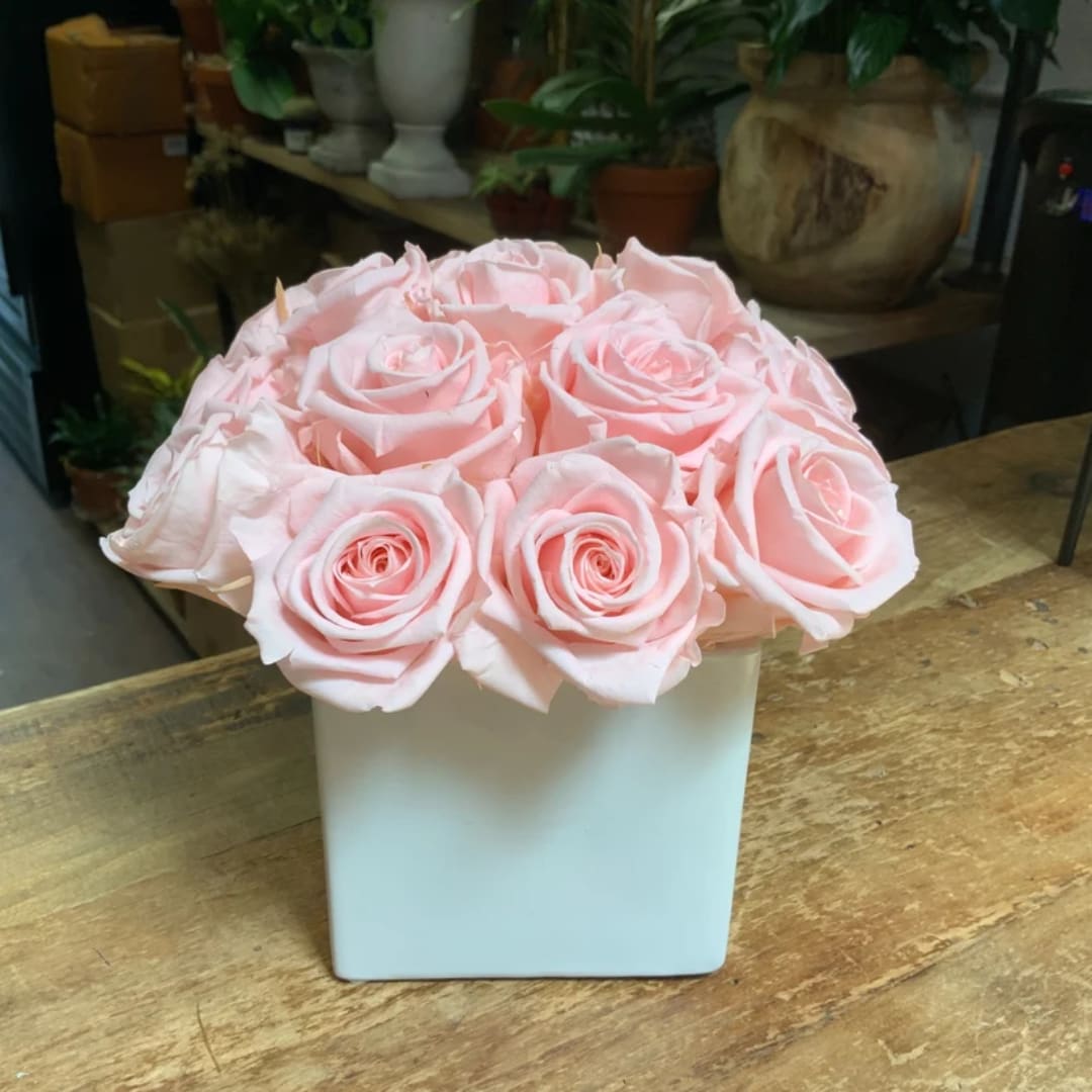 Light pink roses arranged in a white square vase