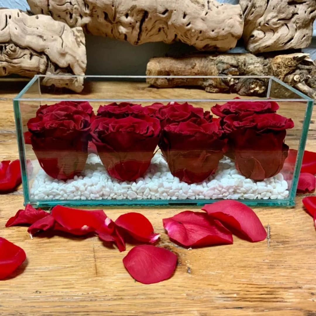 Red roses arranged in a clear rectangular glass box with white stones