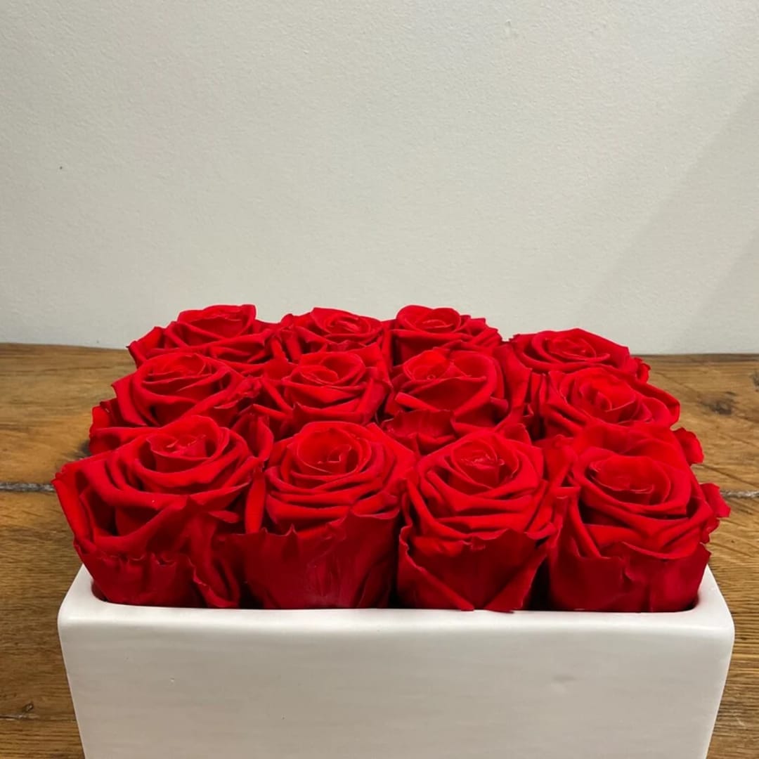 Red roses arranged in a white rectangular vase