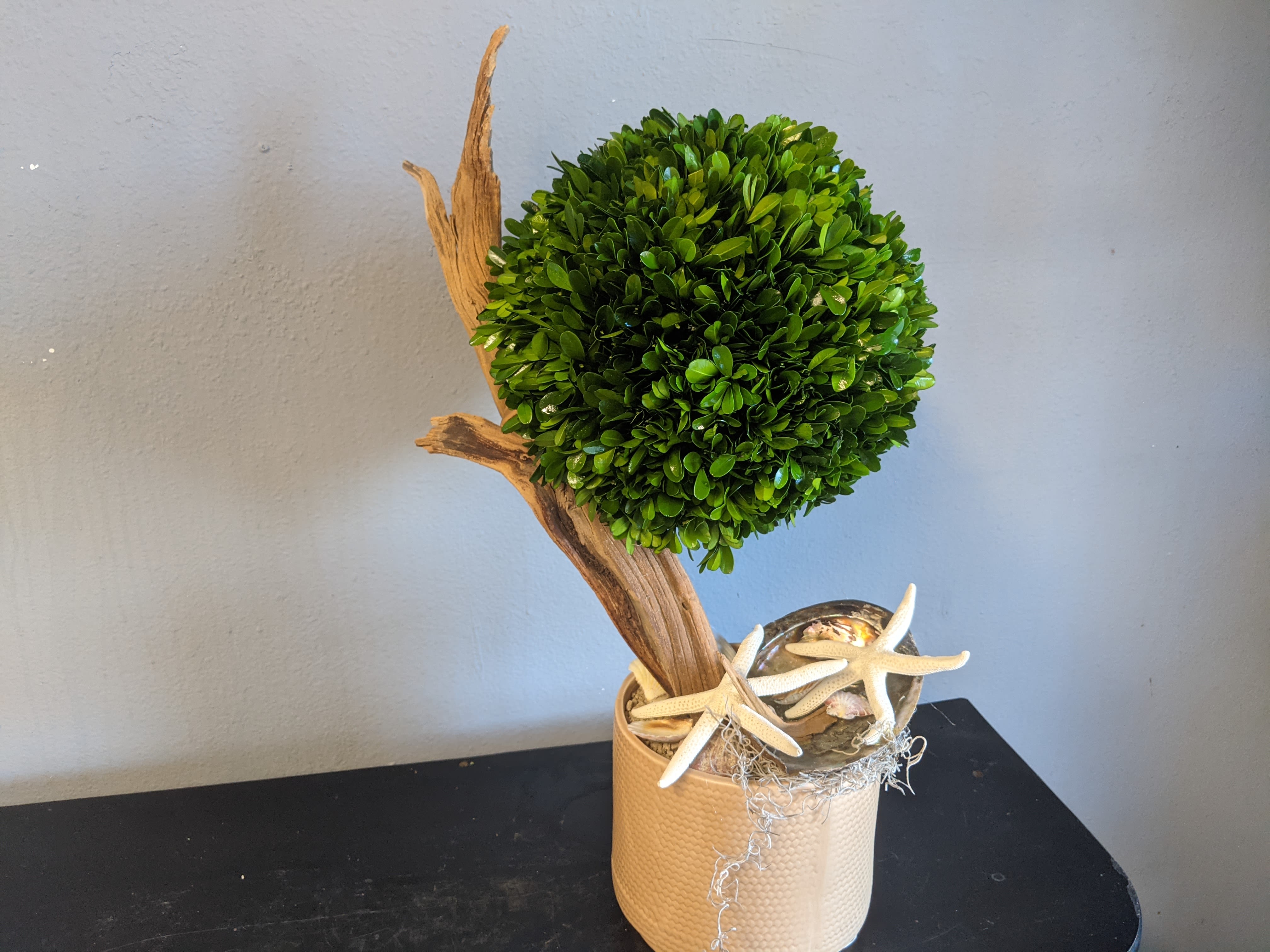 Silk Elegant Topiary - Gorgeous topiary with oceanside inclusions. The box wood will need misted every few days