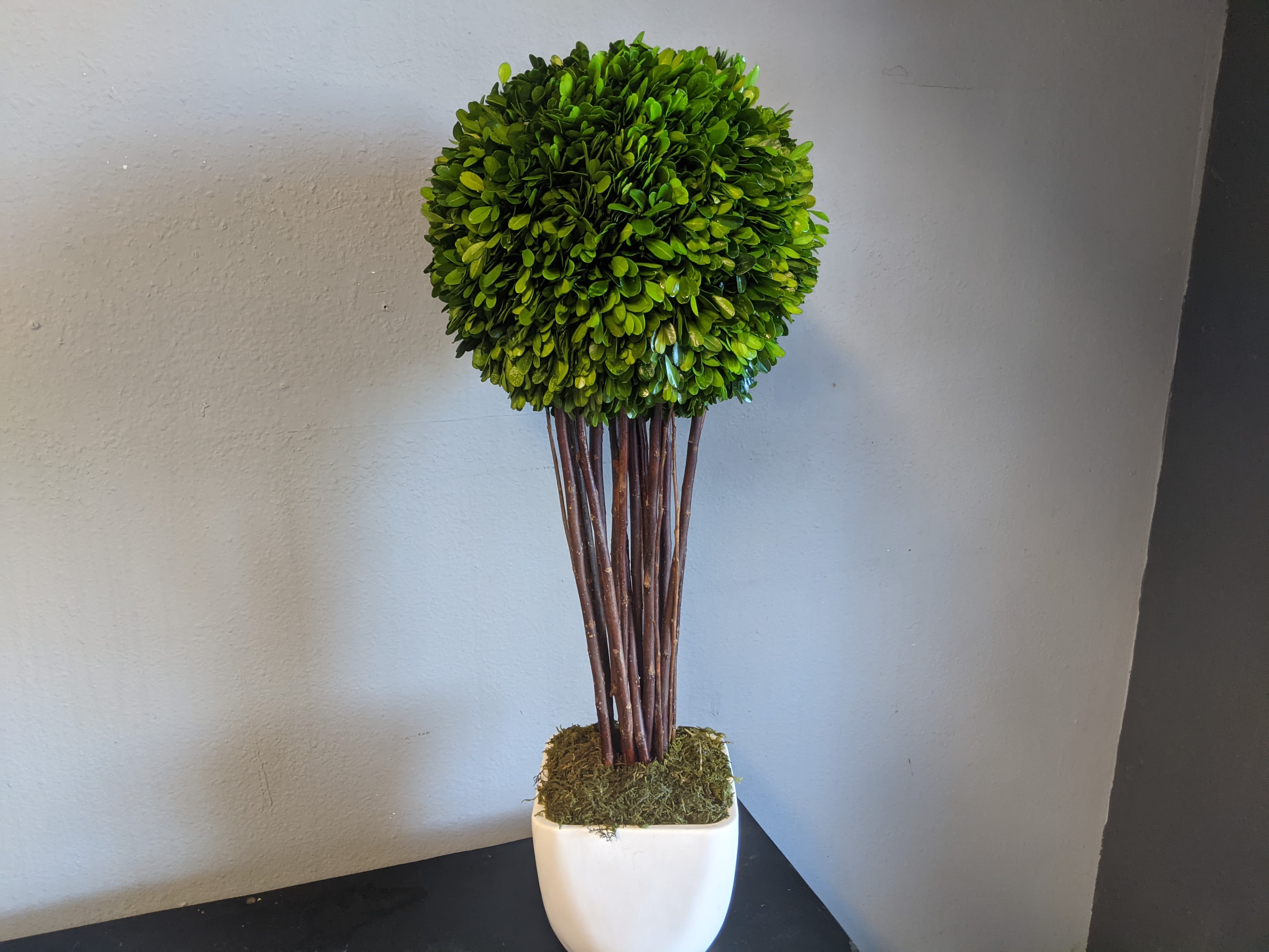 Silk Topiary Arrangement  - Gorgeous topiary arrangement. The box wood will need misted every few days