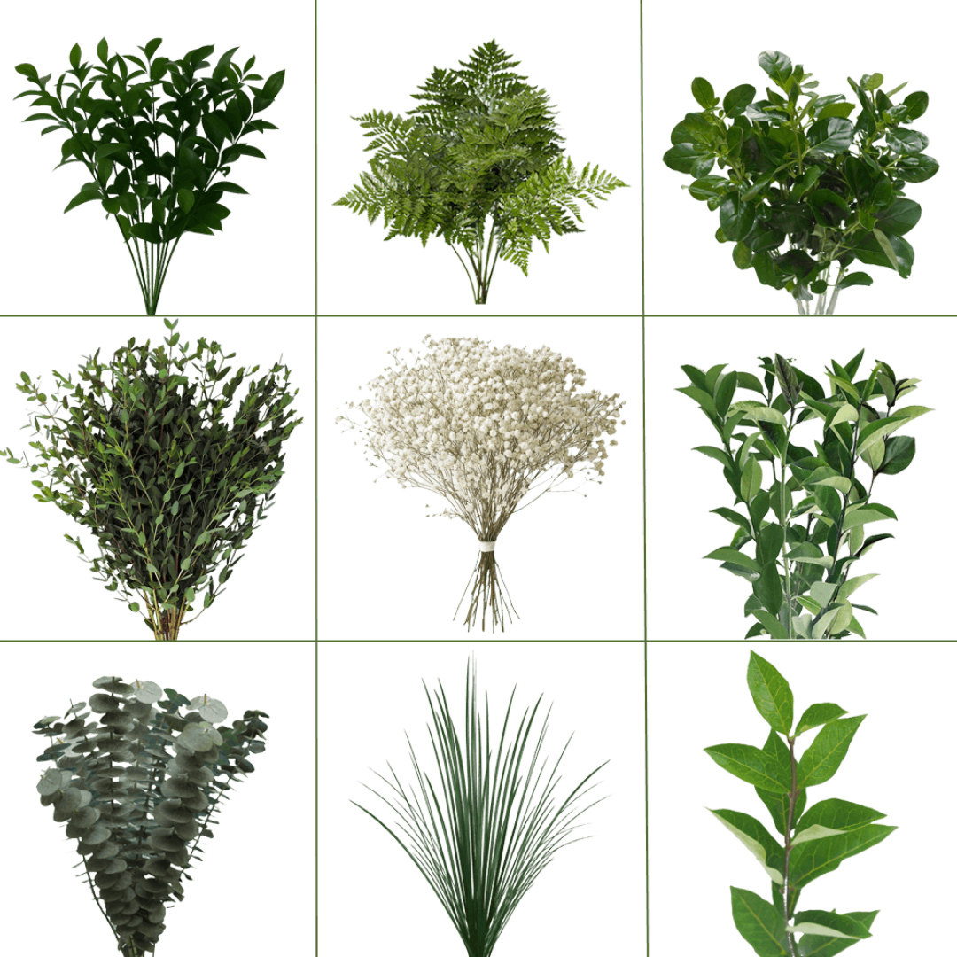 Collage of assorted green foliage stems and white baby's breath bunches