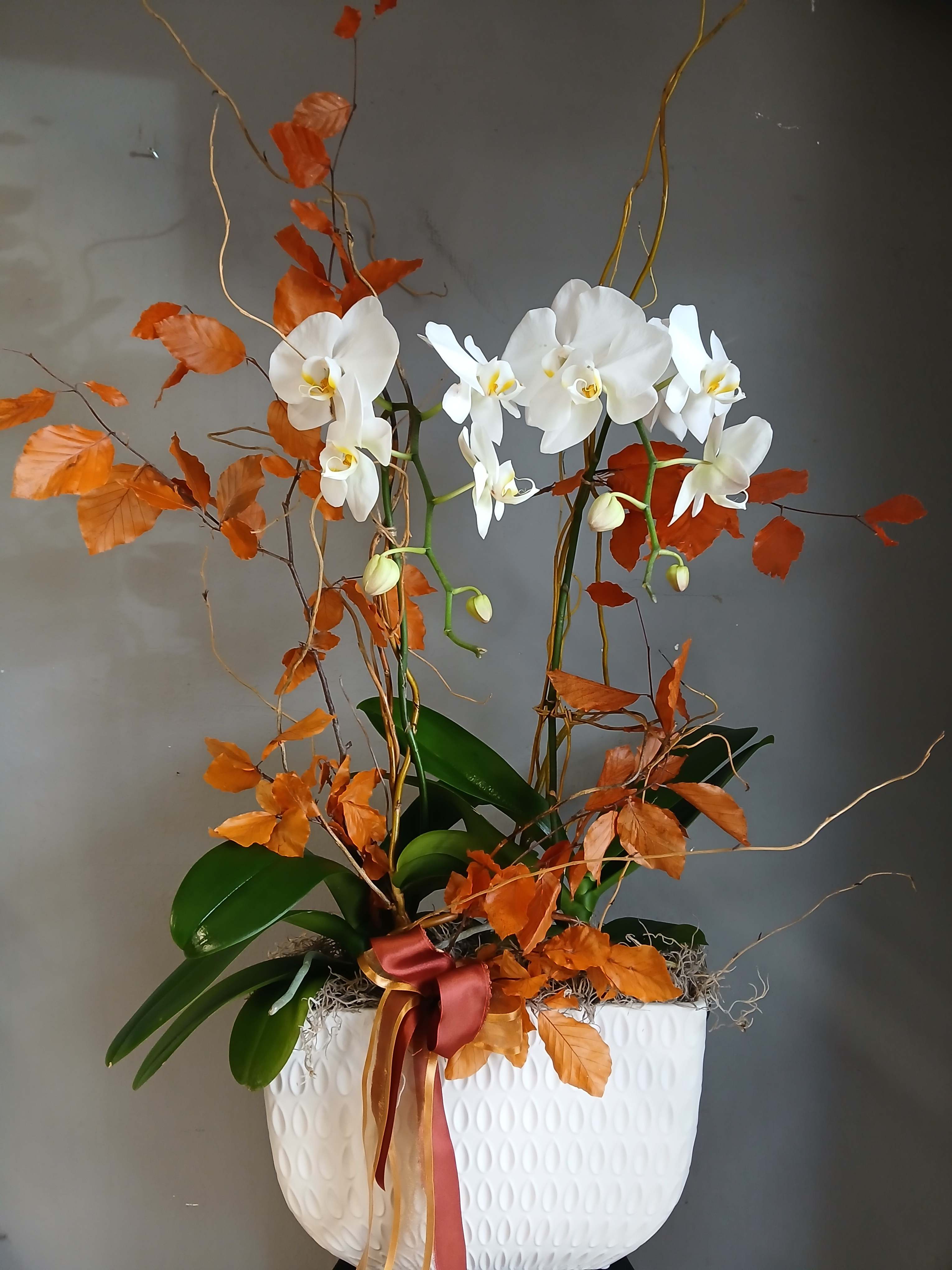 White orchids in a white textured planter with orange foliage and ribbon