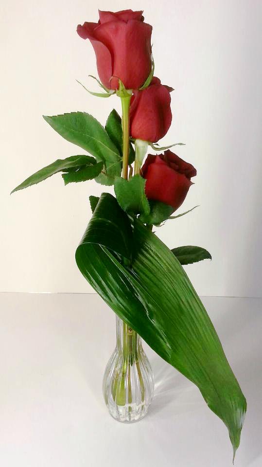 Three red roses in a clear glass vase with large green leaves