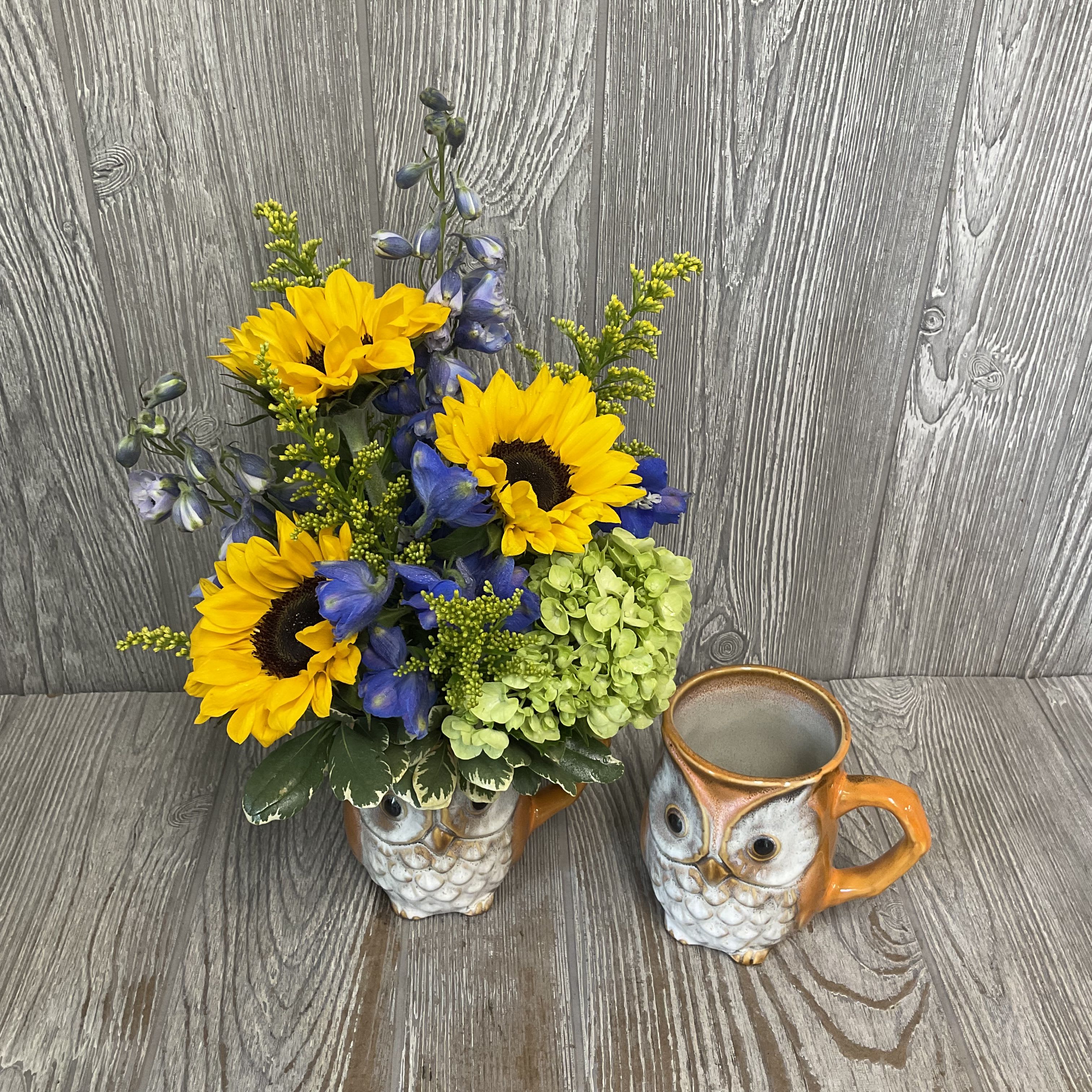 Hootie and the Sunflowers - Ceramic owl mug filled with sunflowers. Flowers may vary.