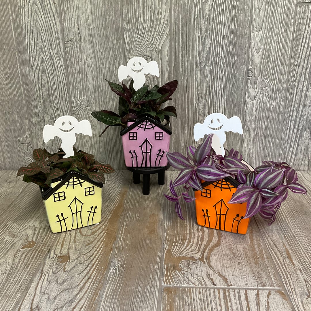 Three small potted plants in Halloween house containers with ghost picks