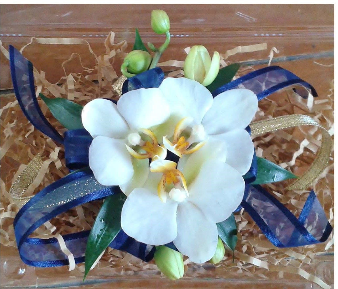 White orchid arrangement with blue ribbon accents in a clear box