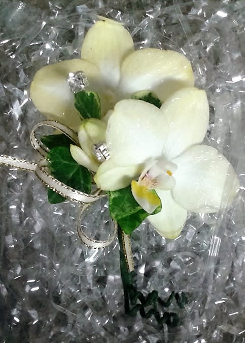 White orchid corsage with silver ribbon on clear wrap
