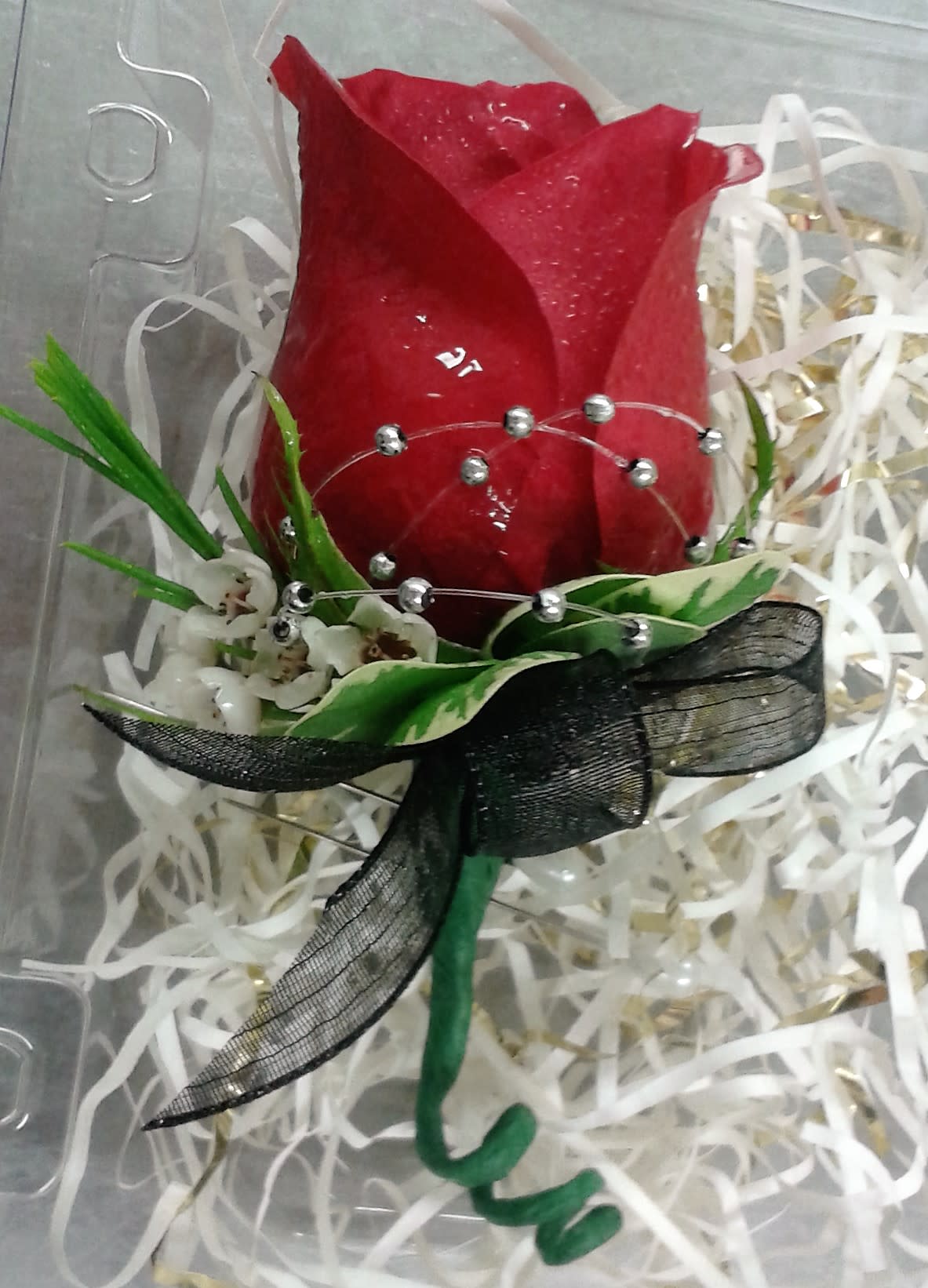 Single red rose with decorative ribbon and beads in clear wrap