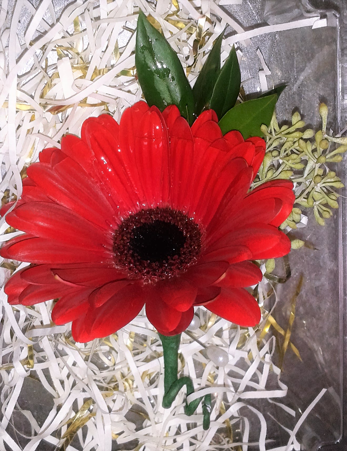 Single red gerbera daisy in a gift box with shredded paper