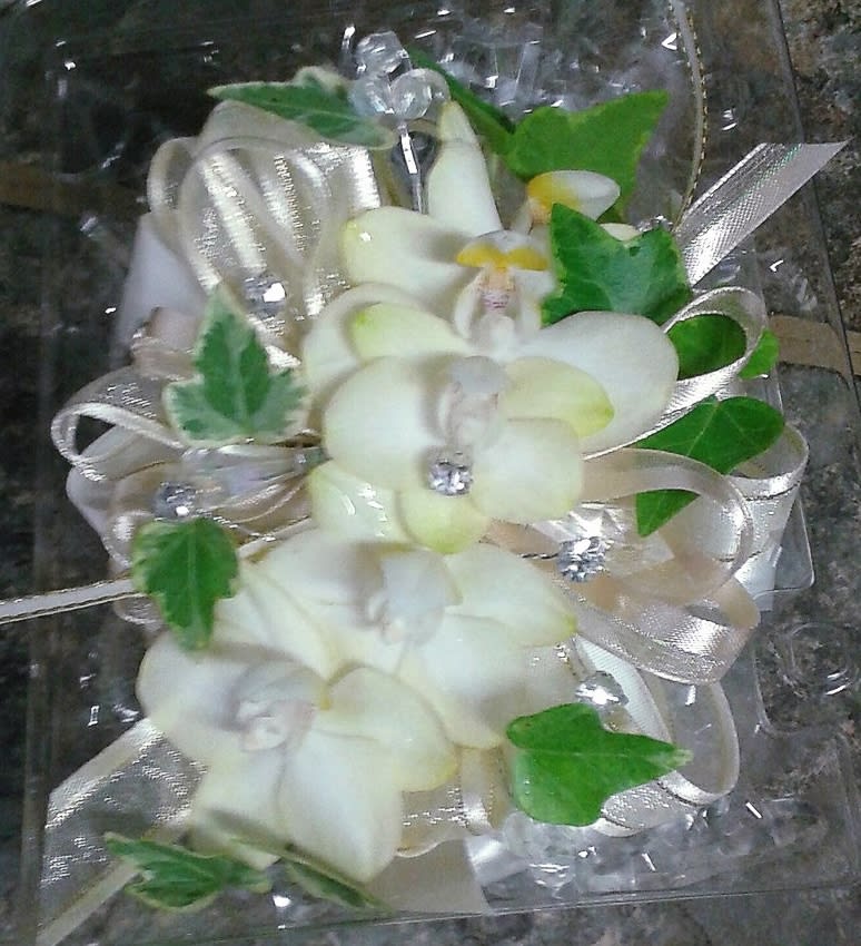 White orchid corsage with silver ribbon and green leaves