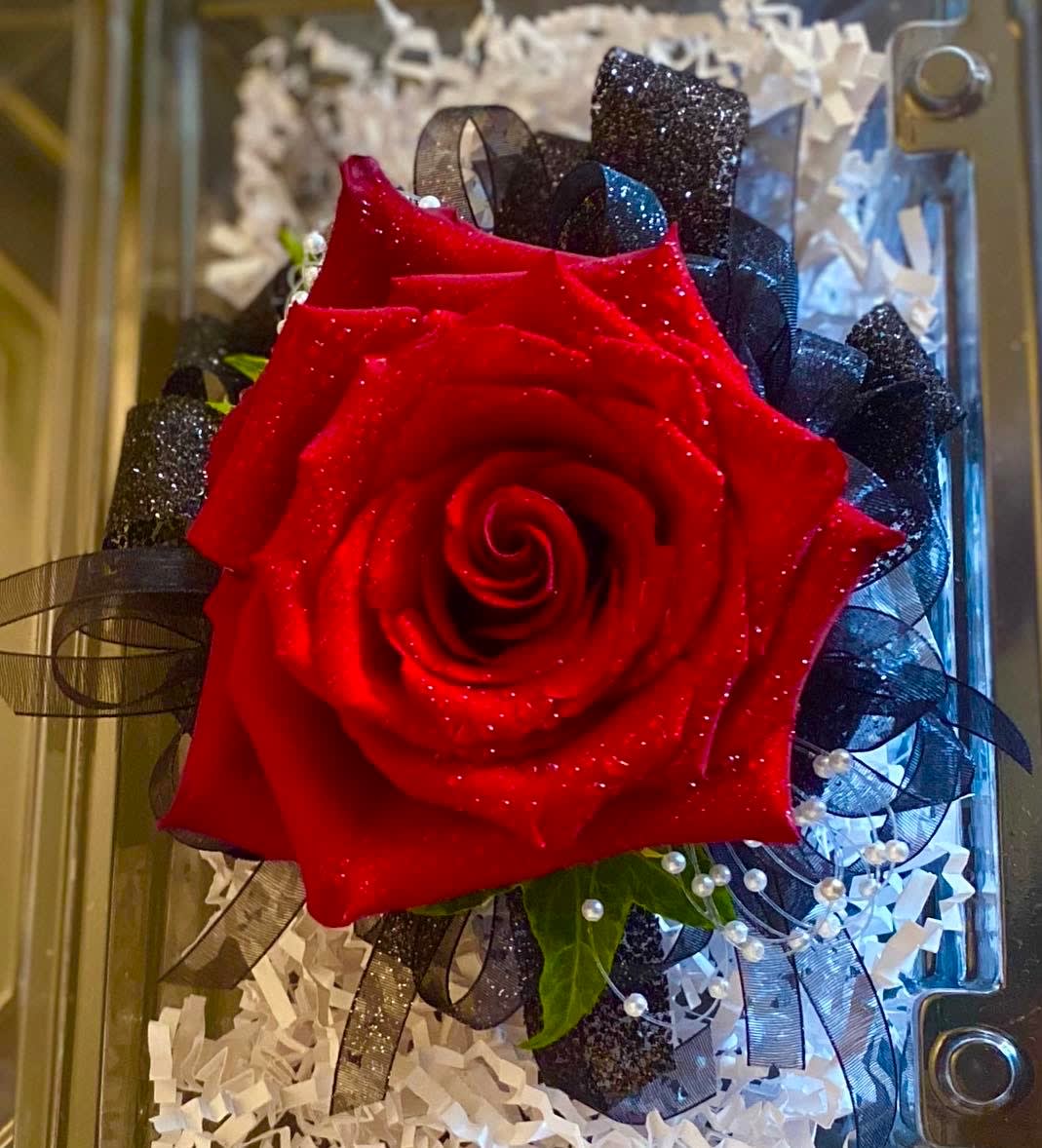 Single red rose with black ribbon and white filler in a gift box