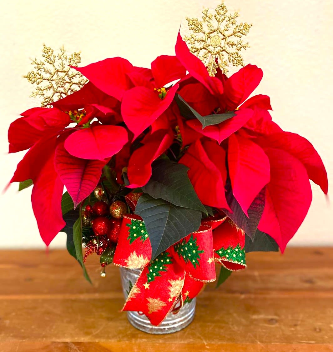 Red poinsettia arrangement in a silver tin with a festive ribbon
