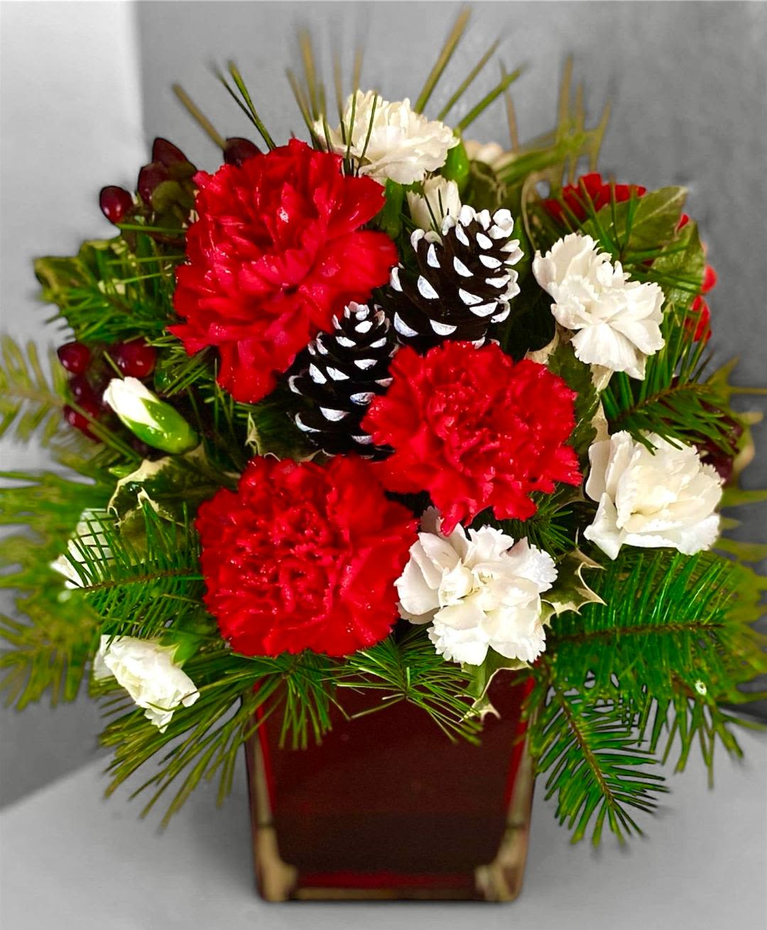 Red and white carnations arranged in a red vase with pinecones and evergreen sprigs