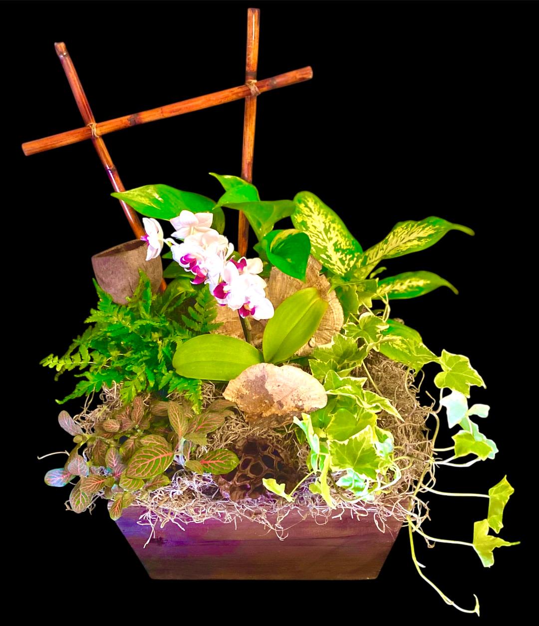 Tropical plant arrangement with white orchids in a wooden planter