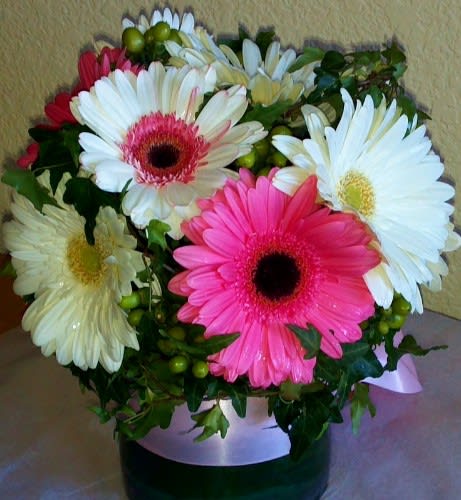 Bouquet of pink and white gerbera daisies in a black vase