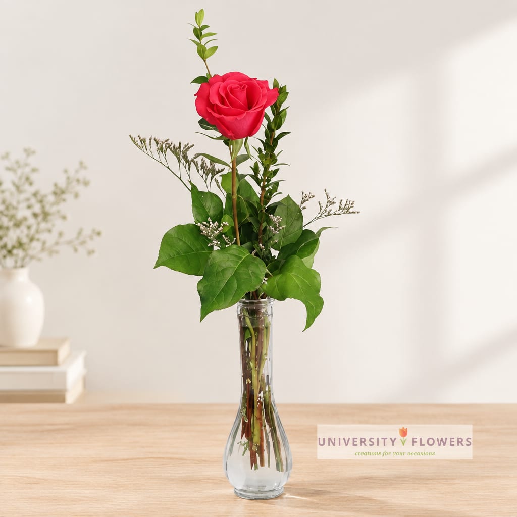 Single red rose in a clear glass vase with greenery