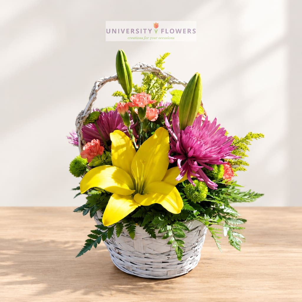Basket arrangement with yellow lilies, pink chrysanthemums, and coral carnations